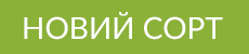 Noviy_Sort.png