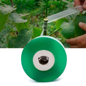 Стрічка для щеплення 