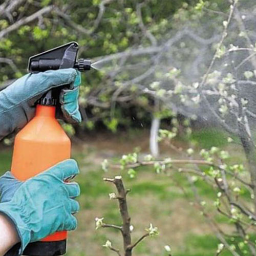 Захист від шкідників