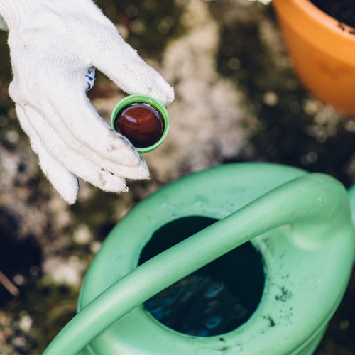 Добрива, захист, субстрати