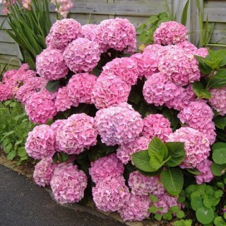 025cd2ce-e6d4-11e7-9835-902b344498c0_9e8c774e-e6f2-11e7-9835-902b344498c0