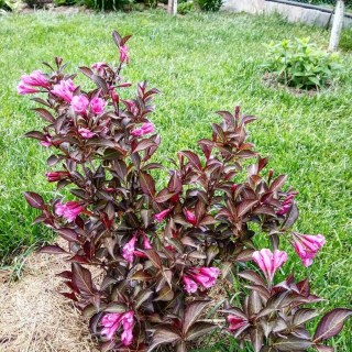 104111657_270873820639505_7533789163170614032_n