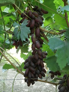 1572551889_w640_h640_1572551889