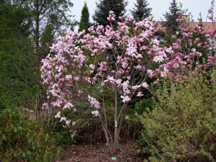 17864_15750999109925