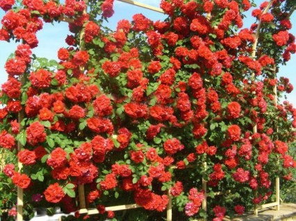 191b0dd818f1aec2b90f361aac0fee4c