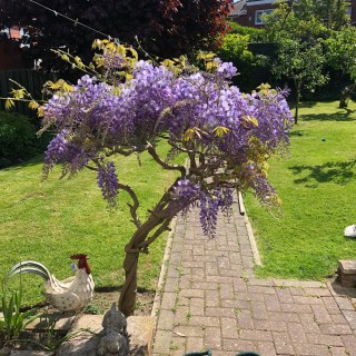 2033_marie2161_1526427365_1080