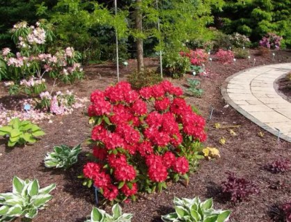 2604182050_w600_h600_2604182050