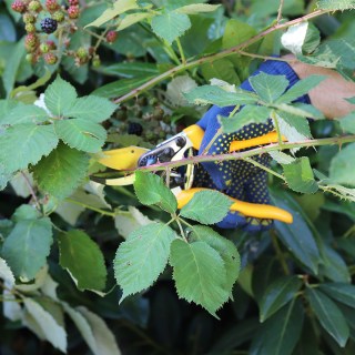 295-200-016_Z19_work1