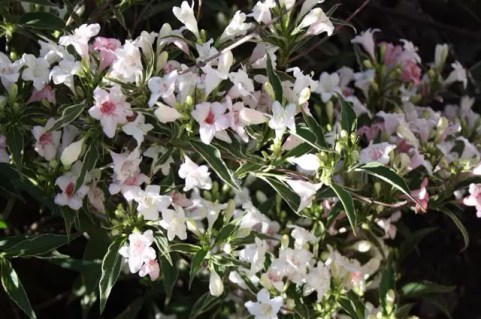 3275504642_w640_h640_3275504642