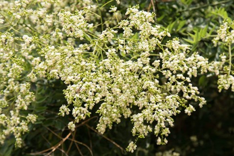 3b00e9e7463f65658bb305c661ef90bd