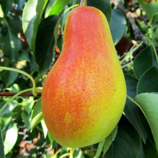 42cff251b799863c93650b01c3e3792d