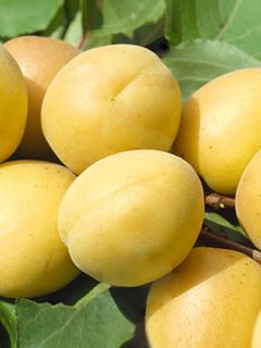 473e723b6d7f585a6829