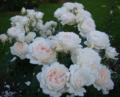 4c200feb98b96eca68258e96653aaff0