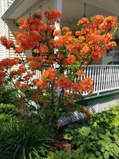 5786b0397ba070f3a836fa3fb3987d24