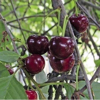 598b0ff2c671f1953fef2578ac39b5cfd35a1735