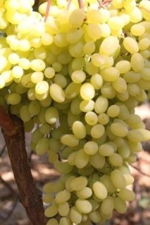 5dbdf33897c699fa1711ac05403b3ccf