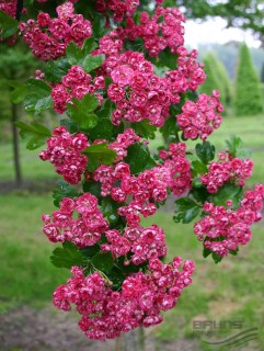 657856655_w640_h640_657856655