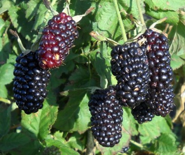 684c4dbb780111811583bcde60b9c7fa-jpg