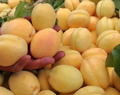 6a9fd049af3476040302d312b426bd19