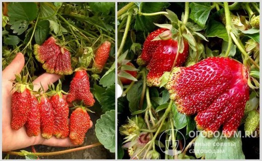 70951ef09b8120462c1851c357de2e3d