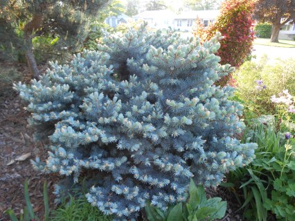 79a53ebb1f9b545b03a316444f0459a1