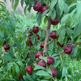 8f1b3af8-354e-49f8-8ea8-b7f132fdfca3