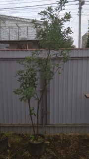 IMG-05b932c6922bd21bc5c60af308020b93-V