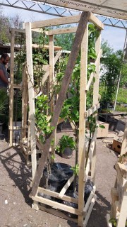 IMG-13f6953c3d62fb1217ebe43ac3a6b592-V23