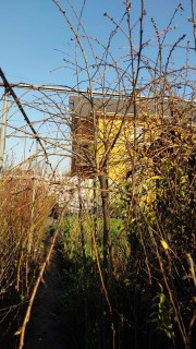 IMG-170908cfc57611a4a5ad3312d2c71914-V