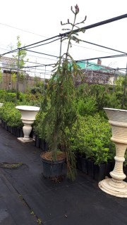 IMG-1bdaa426ff32f1a86c4b0647602b13dd-V