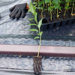 IMG-1ef46f7e9d7e76ed6f285517e3b2f3b9-V