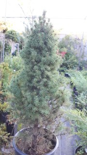 IMG-1fead4e446cb3eb6812a2e4371c52a64-V