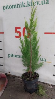 IMG-20af0be43b47616d4e04ebec0ac5a611-V