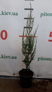 IMG-26a65cca40651701a8ceeaed28a4908f-V