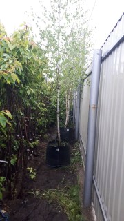 IMG-26b27738d9473c88300dfbfc63615146-V