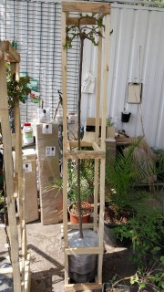 IMG-2a1abc0c57510a2030bf5da28bf111ff-V71