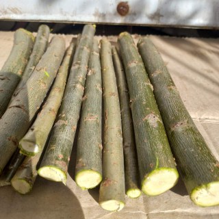 IMG-2ac3bf4083f19addf7302f5db0fc86ce-V