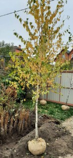 IMG-2d2d163454d302595796ba33dfdb37cf-V