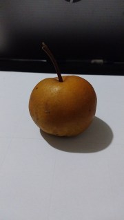 IMG-4362cf4e3919bc7d444d25e5d92d78d7-V