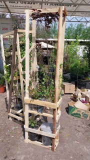 IMG-46f6931e5936de21d2a5619a90fb8bfb-V58