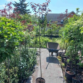 IMG-5d7bb9efc526837c1f334e4564b6b852-V