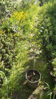 IMG-5edd8fd1e134d4daa7128ee1e791a77b-V10