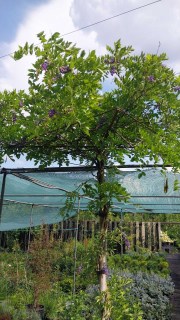 IMG-6302993de612a41c4fa7ebe2f64703cf-V