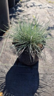 IMG-680e94c6ffdc4f1e8b191e63be97354c-V