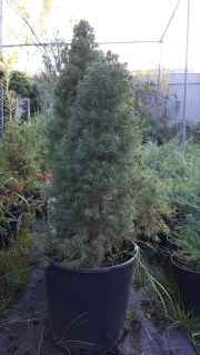 IMG-7001dc8495c3bc40e414f7995c7ab558-V