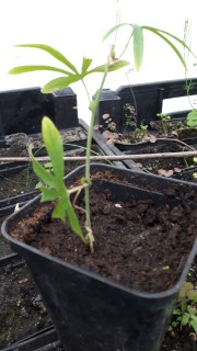 IMG-75e89689b48e3dabf126e49d894bd01e-V