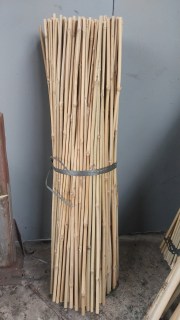 IMG-7ad17ac544d3608aa7234c302b8e8f3f-V