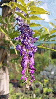 IMG-7db3c6b6f1e9de02f746caa26d2ef73b-V