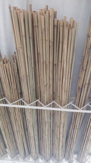 IMG-7dfba3554f510cc4ab9c45eb76c65af7-V