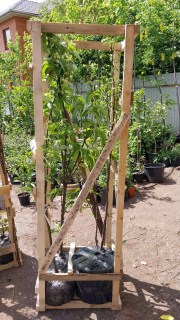 IMG-89f8b800d47db187a7b55cd2898bd3fc-V42